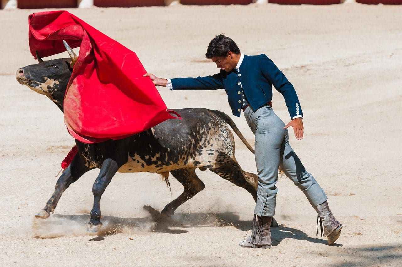 Rebuilt bullring will add exciting new activities to Benidorm—except bullfighting