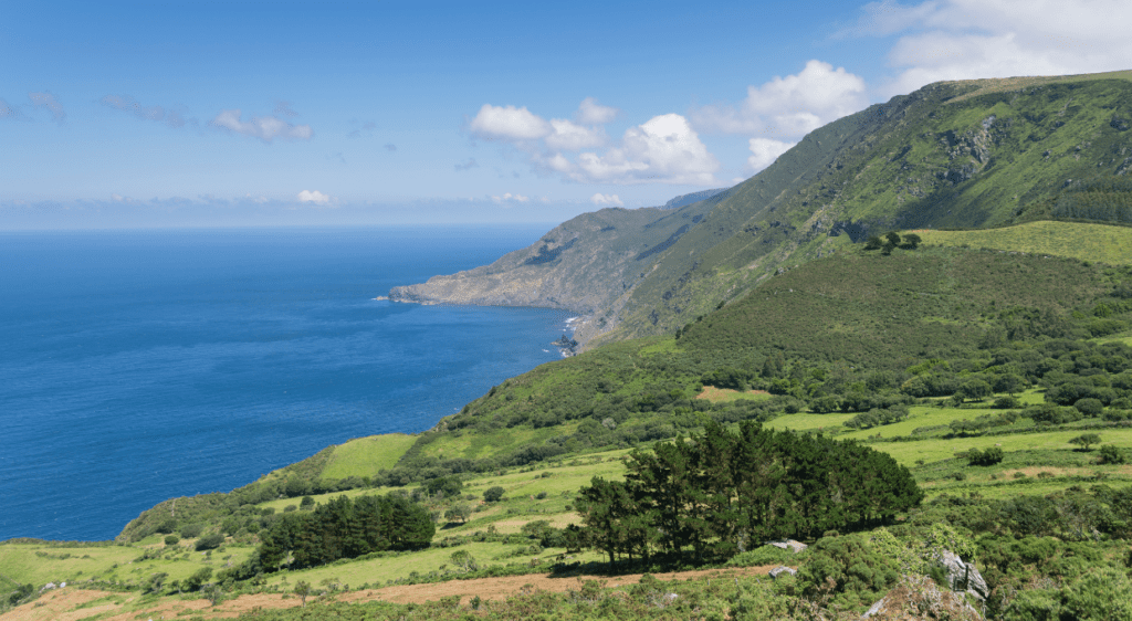 Galician coastline, a hotspot for weever fish encounters.